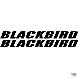 Honda Blackbird motor matrica szett