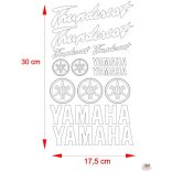 Yamaha Thundercat matrica szett