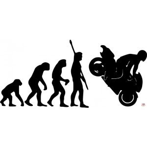 Motoros evolúció matrica